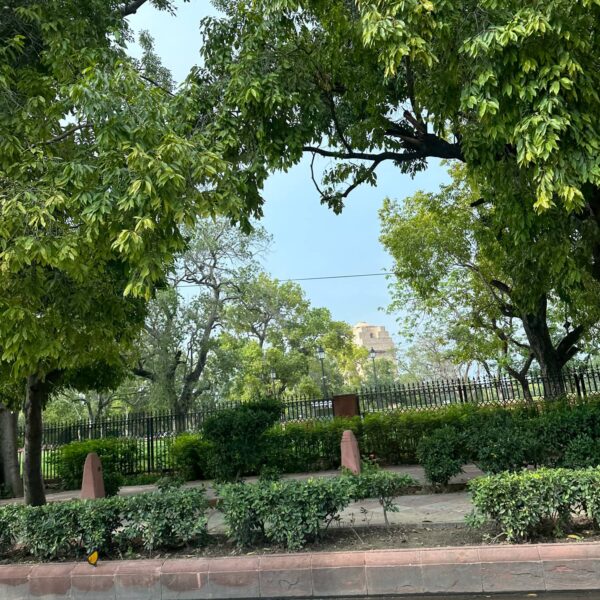 Pure Sweet Honey farm in India